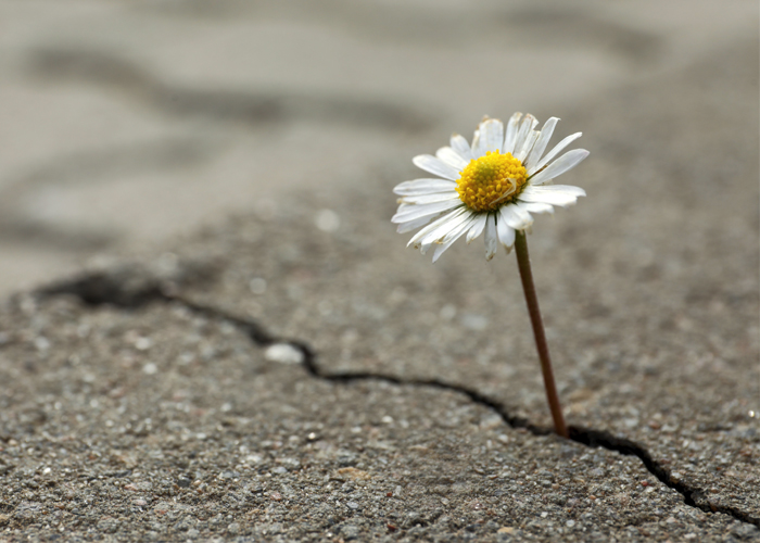 Elements of Resilience