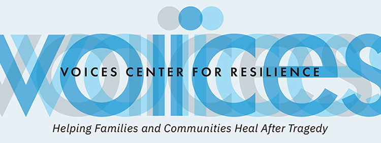 VOICES Annual Needs Assessment